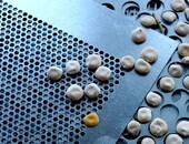 Влияние диаметра отверстий решета на эффективность очистки